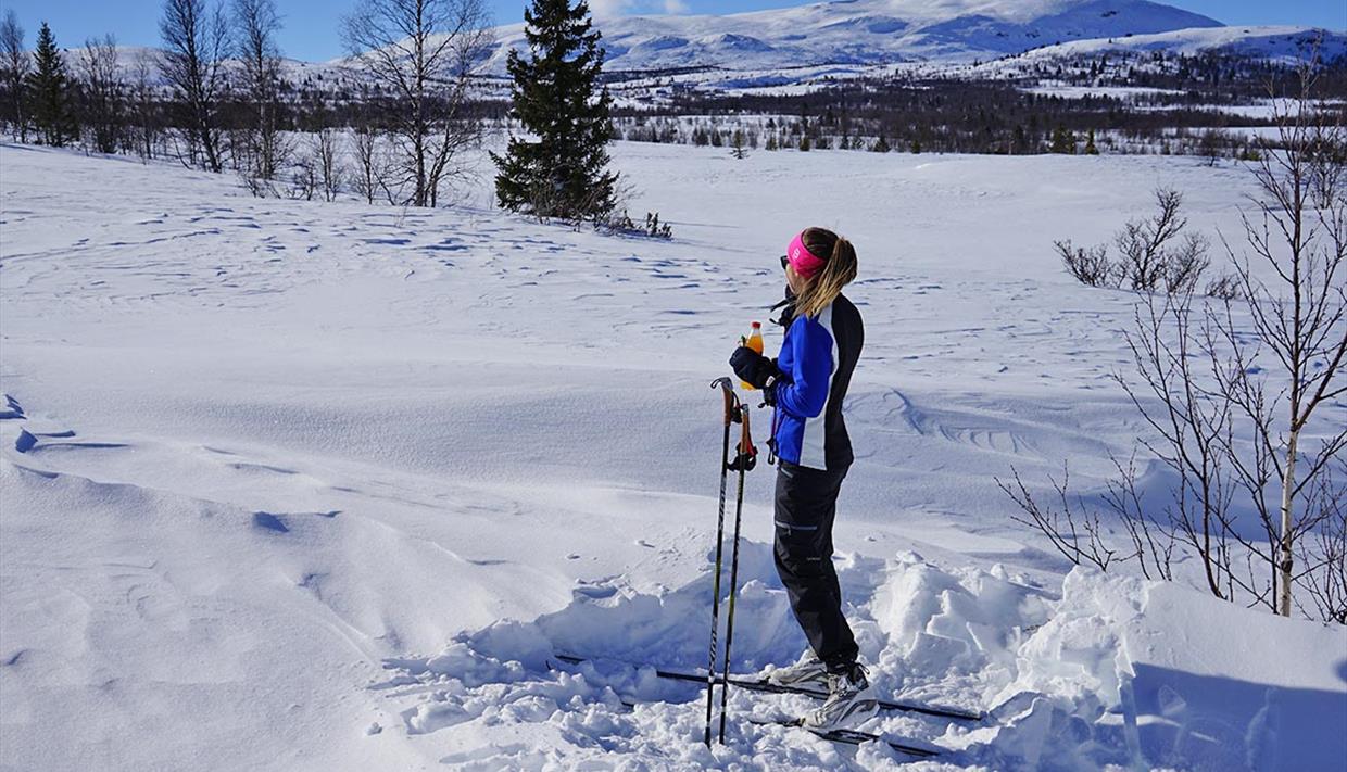 En skiløper nyter vårsola i løypenettet med en solo. Fjell i bakgrunnen.