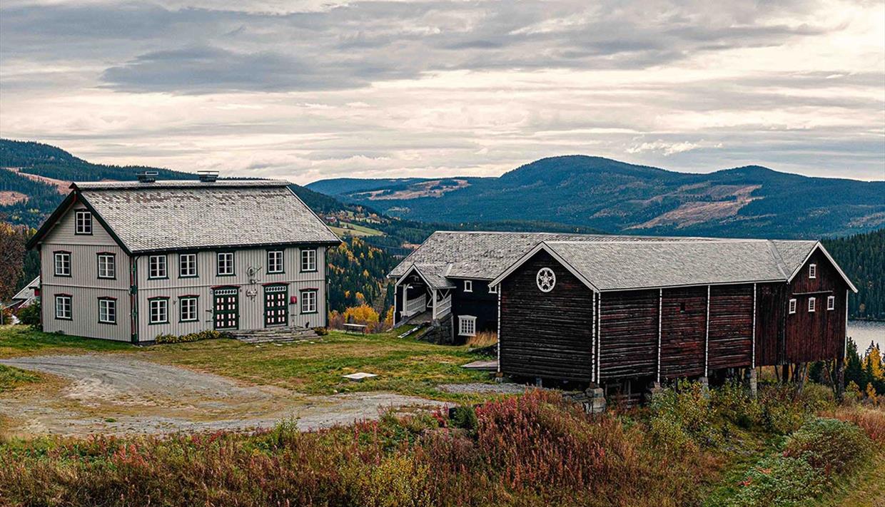 Eker Gård Gallery in Skammestein
