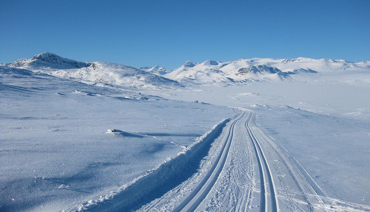 Cross-country skiing tracks in high mountains. Blue skies.