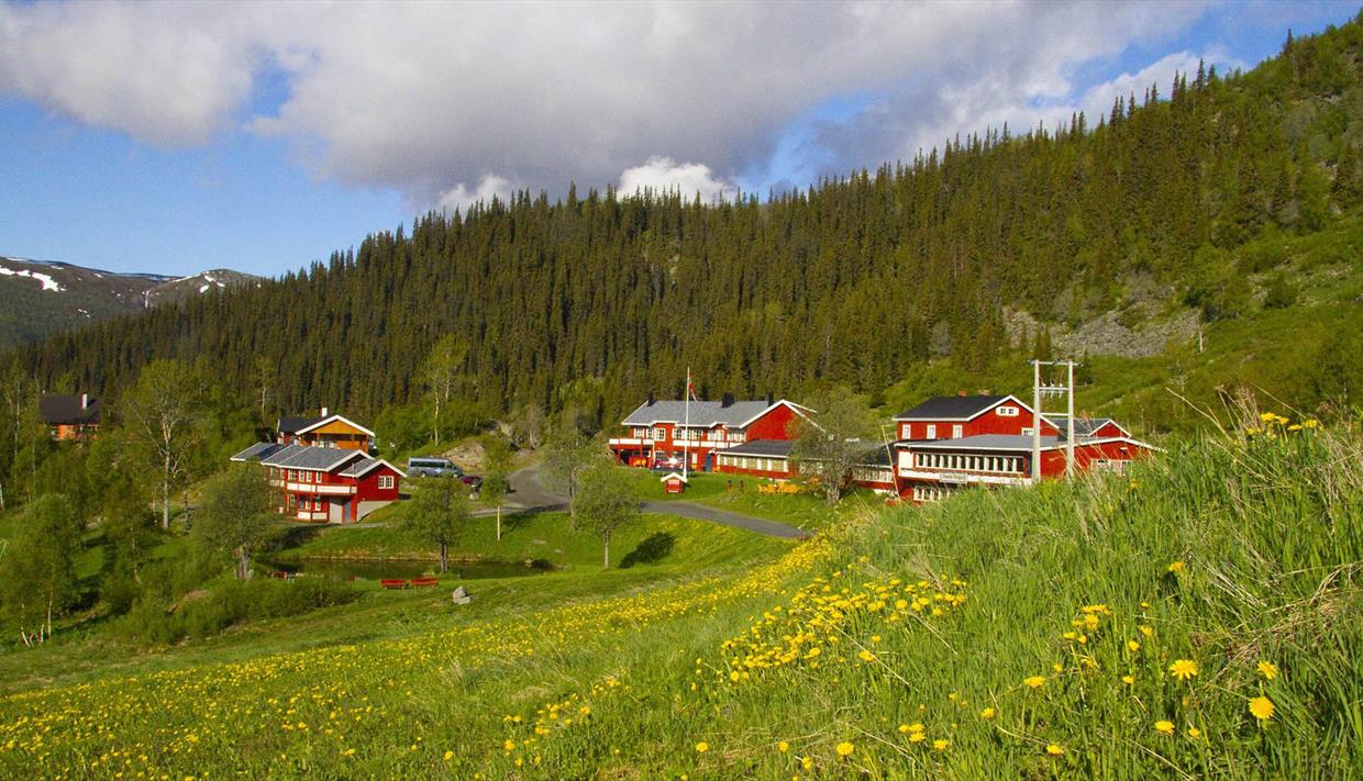 Rotgemalte Mountain Lodge in einem Wiesenhang mit bewaldeten Hügeln im Hintergrund