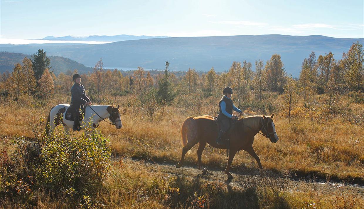 To personer på ridetur i høstfjellet.