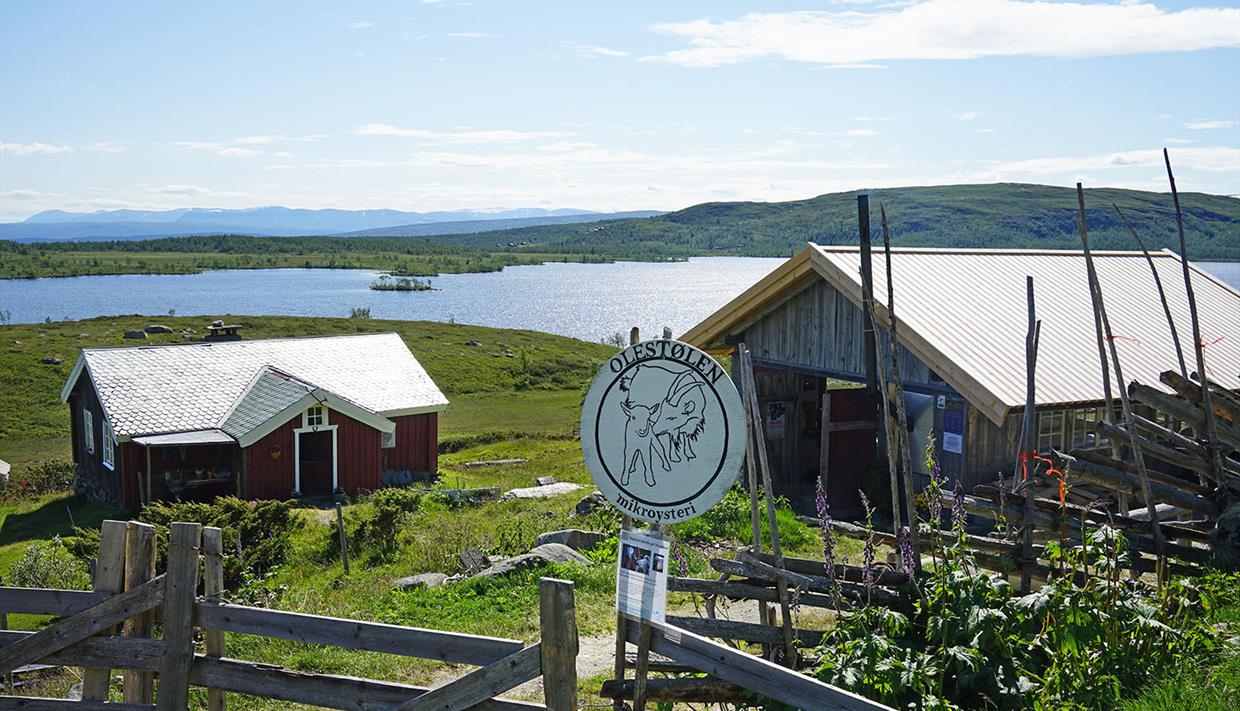 Stølsost fra Olestølen Mikroysteri