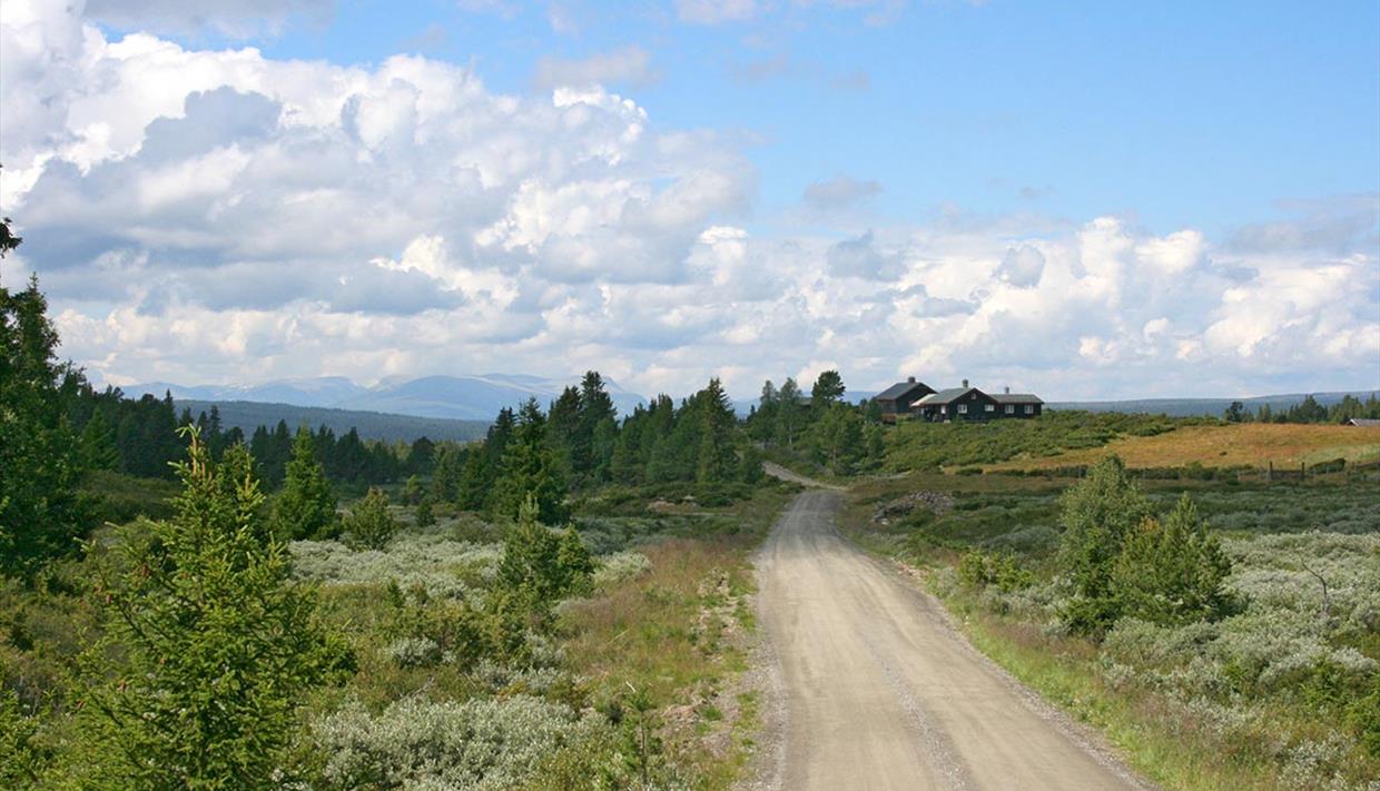 Grusvei såvidt over tregrensa med busvegetasjon, noen graner, et stølshus og utsikt til et fjellmassiv.