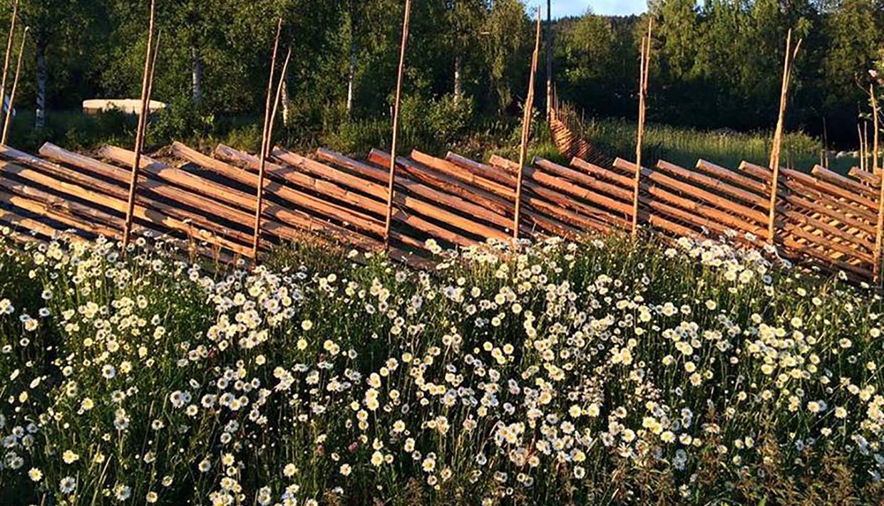 Traditional fence made by Valdresskigard