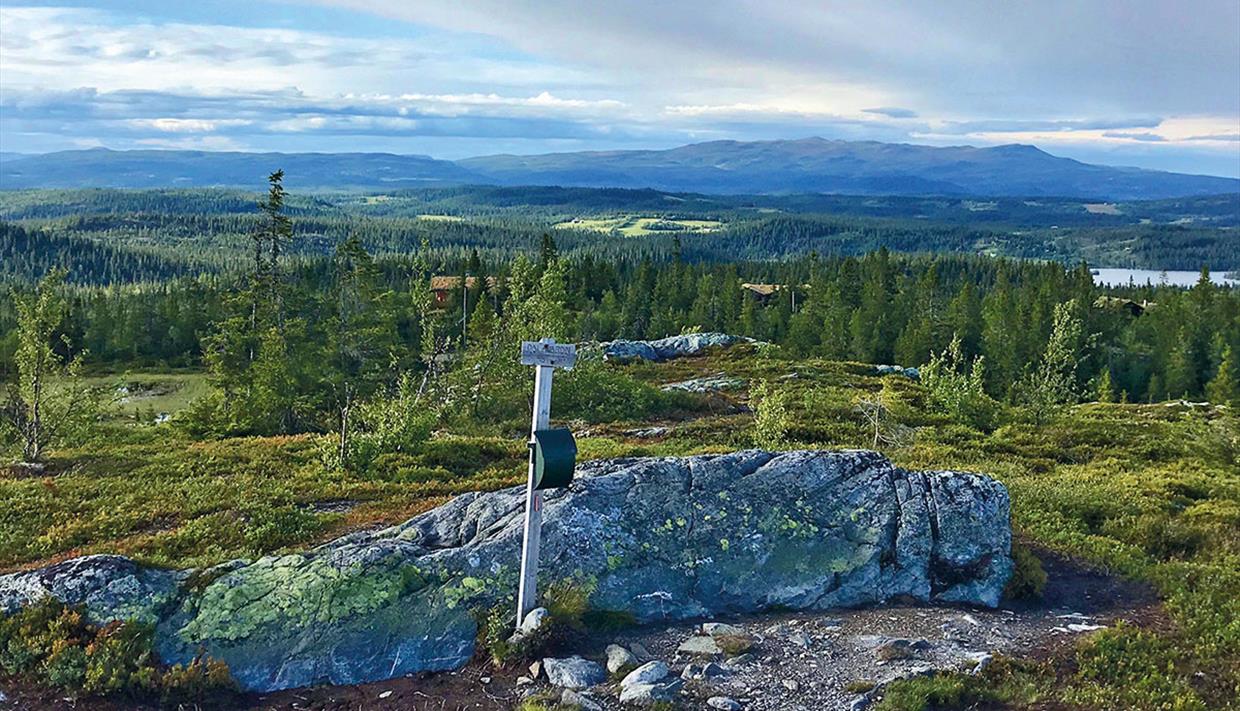 Utsikt fra Vardafjell med turpostkasse over vid lavfjellsterreng med skoger og vann mot Synnfjellet.