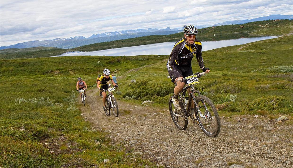 Terrengsyklister på kjerrevei over Syndisfjellet. I bakgrunnen ses Jotunheimens tinder.