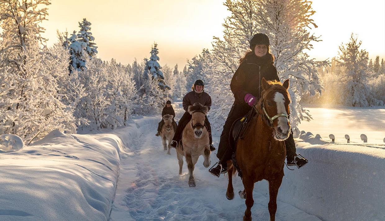 På ridetur med Myhre Gård en flott vinterdag.