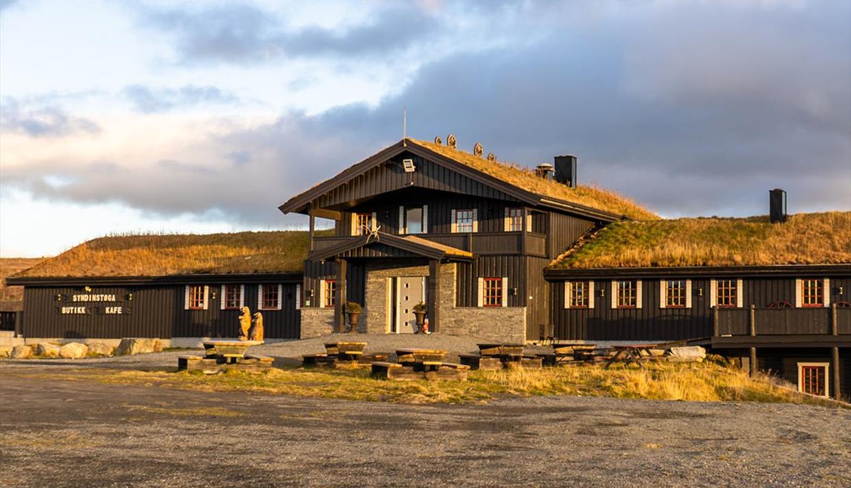 Syndinstøga summer