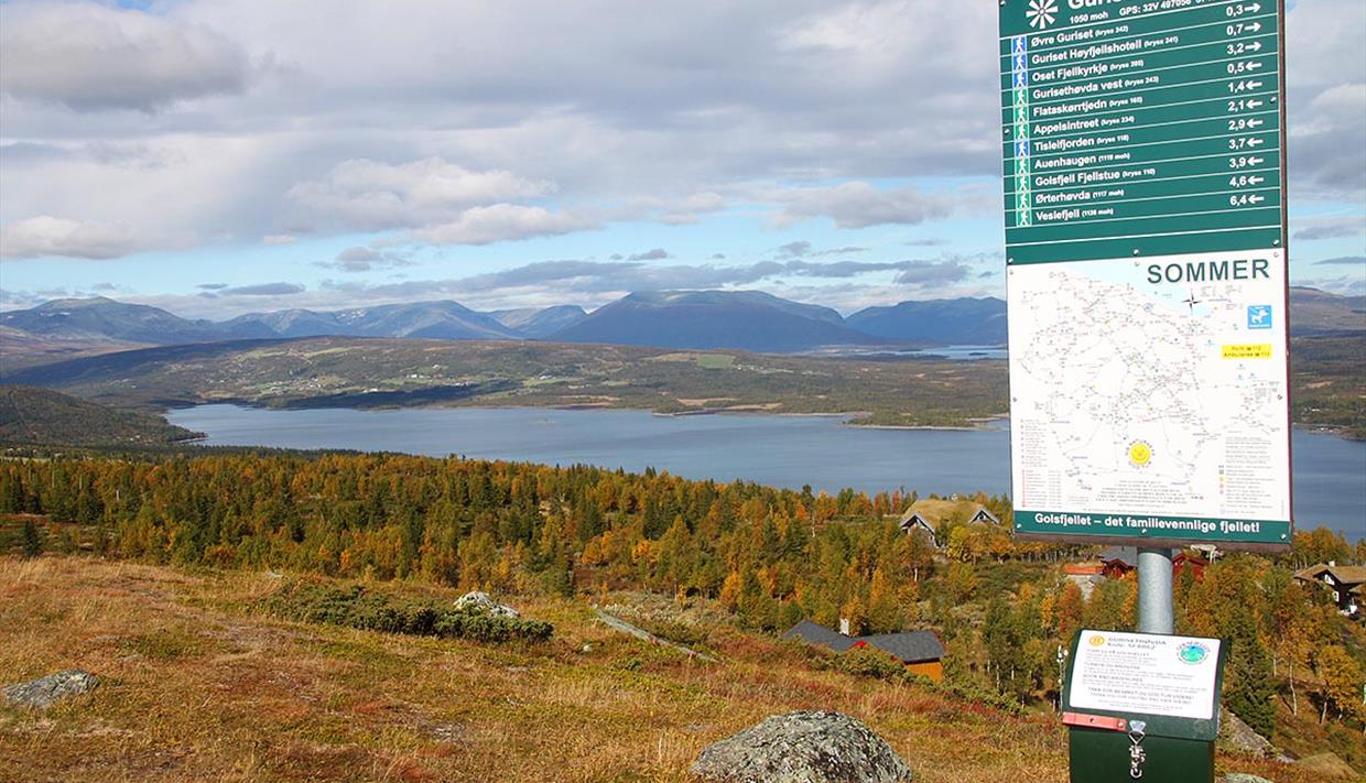 Gurisethovda er en av toppene i Topp 11-samlingen på Golsfjellet.