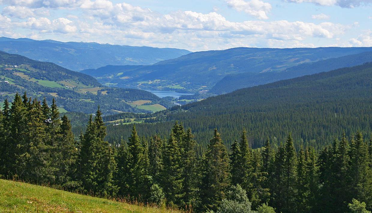 View over spruce forest and meadows down a broad valley with a lake in the background and a mountain ridge yet beyond.