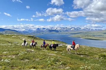 Ridetur til Olefjellet med flott utsikt til Jotunheimen og Vinstern.