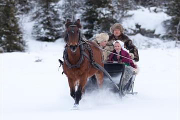 Kanefart med Fjellrittet