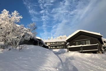 Aurdal Fjellpark Valdres