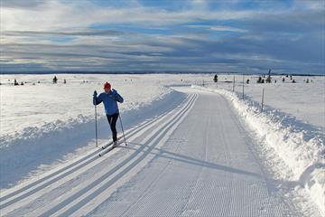 Skiløper i flatt og fint viddelandsskap