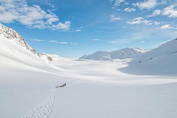 Hundekjøring i mektige omgivelser på fjellet en flott vinterdag.