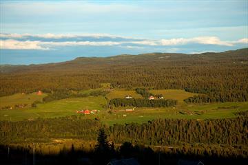 Utsikt fra Brattstølen mot gårder på andre side av Tisleidalen i kveldssol.