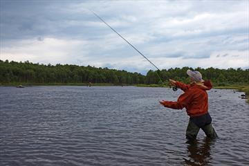 Fishing - River Tisleia