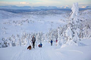 Familie på langrennstur, snødekkede trær og utsikt til fjelltopper i horistonten.