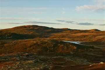 Høststemning med vakkert kveldslys på snaufjellet