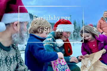 Førjulshygge i stallen