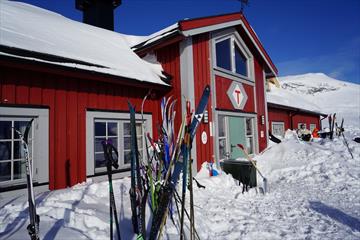 Ski foran hytteveggen på Fondsbu