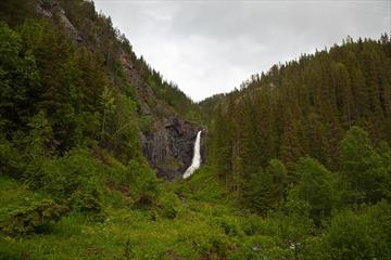 Gjuvfossen i Etnedal skiller seg markant ut fra den frodige skogen rundt.