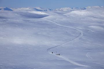 Eine Skiloipe zieht sich über eine Hochebene über der Baumgrenze. Hohe Berge im Hintergrund