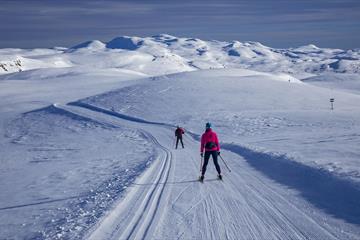 Flott utsikt mot Synnfjell fra toppen av Jomfruslettfjellet