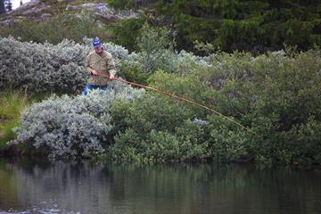 Fisherman with rod at Lomtjedne, Aurdalsåsen