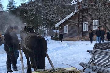 En hest med slede på en gardsplass i snø, med personer stående rundt omkring.