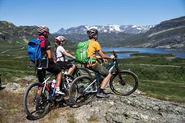 Mjølkevegen via Slettefjellet - Aussicht zum See Fleinsendin und dem Berg Knutsholstinden.