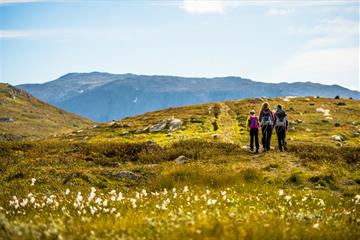 Mennesker på vandring over fjellet