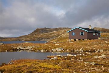 Slettningsbu en høstdag.