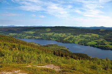 Aussicht vom Jutulknatten über den Steinsetfjorden zum Goaren (die Anhöhe auf der gegenüberliegenden Seite). Die Fahrradrunde "Steinsetfjorden rundt" führt um den See.