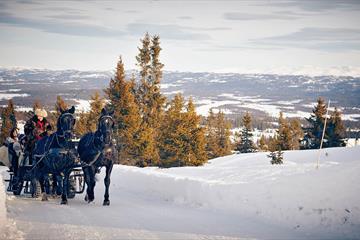 Mountain Riding at Storefjell