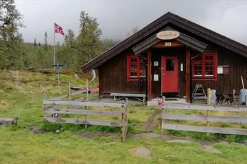 Storekrakkoia omringet av Bjørkeskog en grå sommerdag.