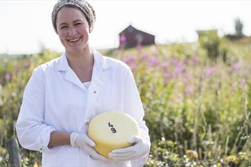 Strandmo Stølsysteri, Breiset