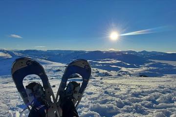 Et par truger på en fjelltopp mot sol og blå himmel