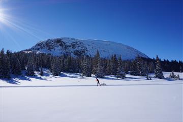 Yddin - Vangsjøen, Langlauf