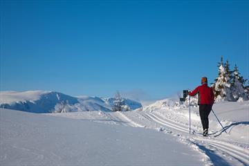 En langrennsløper i nypreparert løype ved tregrensa med fjell i bakgrunnen