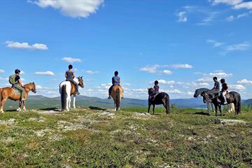Ridetur på fjellet med Myhre Gård.