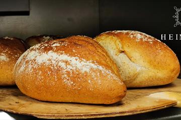 Brød i ovnen