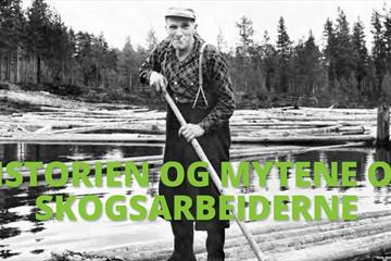Bokomslag Skogens Menn