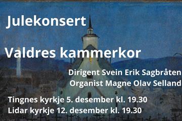 Stille natt - Julekonsert med Valdres Kammerkor i Tingnes kirke