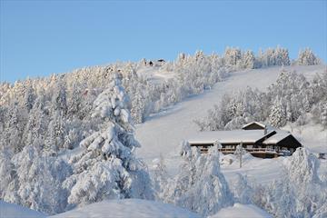 Gamlestølen Fjellstogo - Hytter
