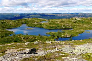 Trekanten i Vassfaret