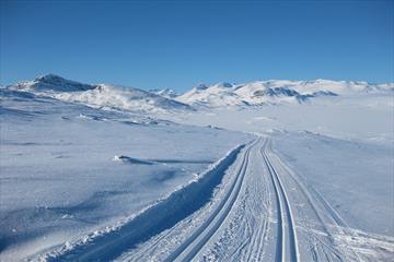 Langrennsløyper i høyfjellslandskap med blå himmel