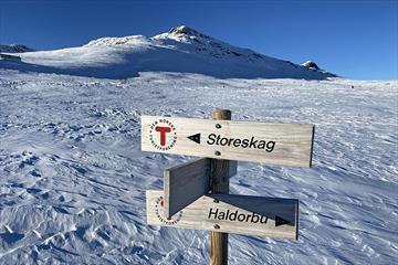 Storeskag