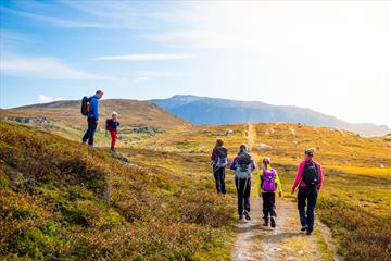 The King's Road across Filefjell on the leg between Kyrkjestølen and Maristova.