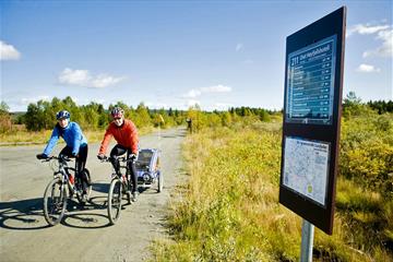 Cycling across Golsfjellet